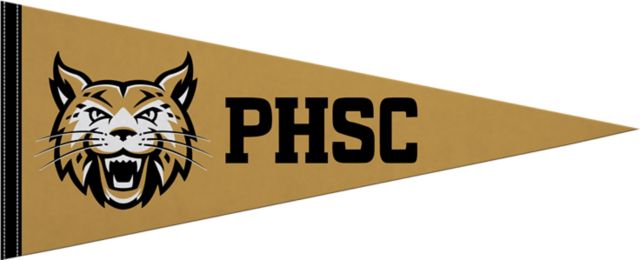 Pasco-Hernando State College 12X30 Full Color Pennant